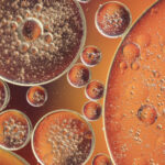 benefity nasýtených tukov