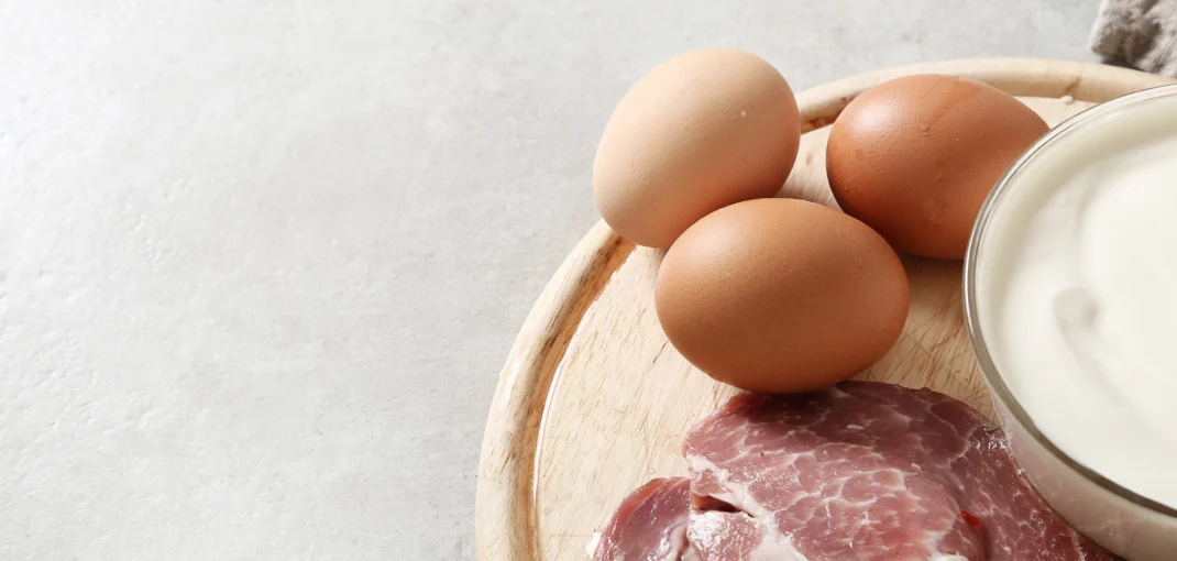 Konzumácia základných živín zo živočíšnych potravín